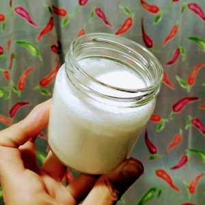 Yogur casero