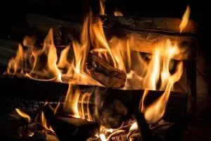 Uno de los 5 aromas relajantes