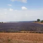 IMG 20190721 WA0044