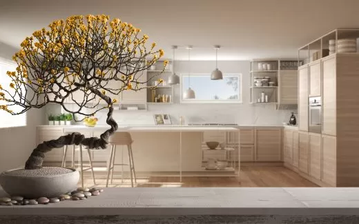 Cocina creativa