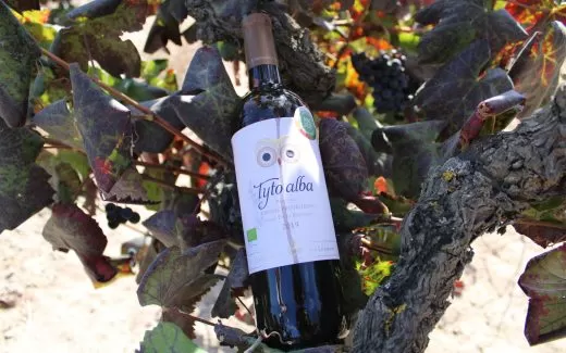 Vino Tyto Alba 2019