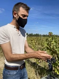 David Ferreira, enólogo