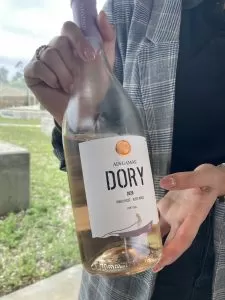Vinos de Adegamãe