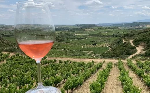 Viñedos de Loli Casado, en la Rioja Alavesa