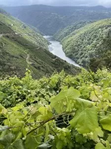 La Ribeira Sacra