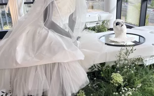 Vestido novia y cremas cosméticas